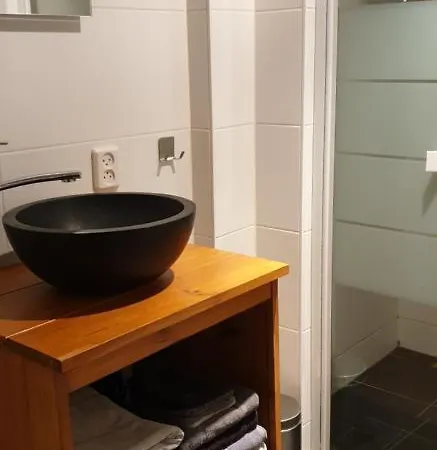 Bernisse Chalet Zuidland