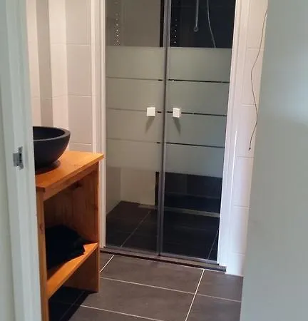 Bernisse Chalet Zuidland