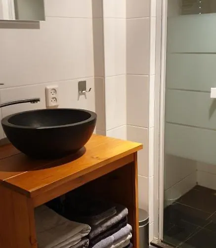 Bernisse Chalet Zuidland