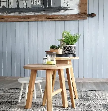 Chalet Bernisse Zuidland